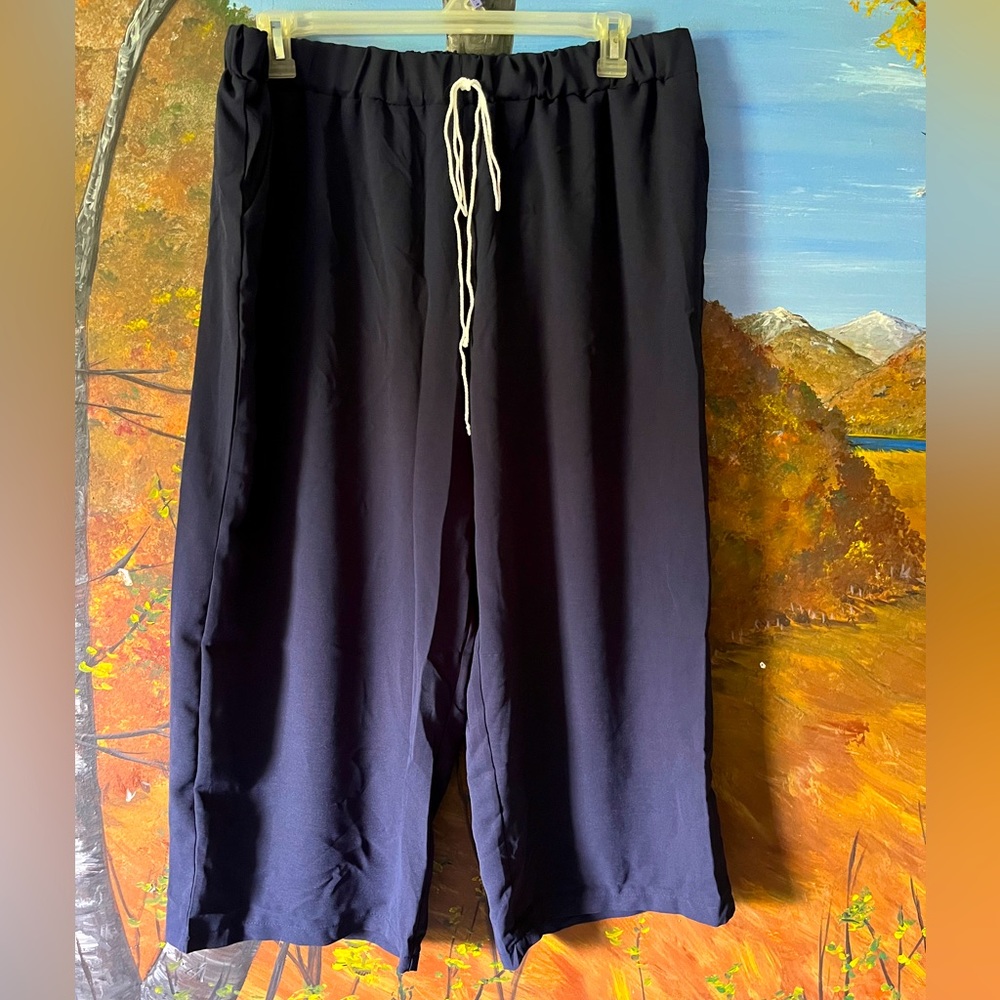 NWOT goucho pants